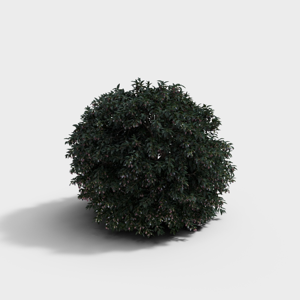 现代绿植绿篱灌木-现代灌木3D模型