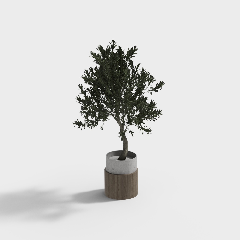 77 植物 PD