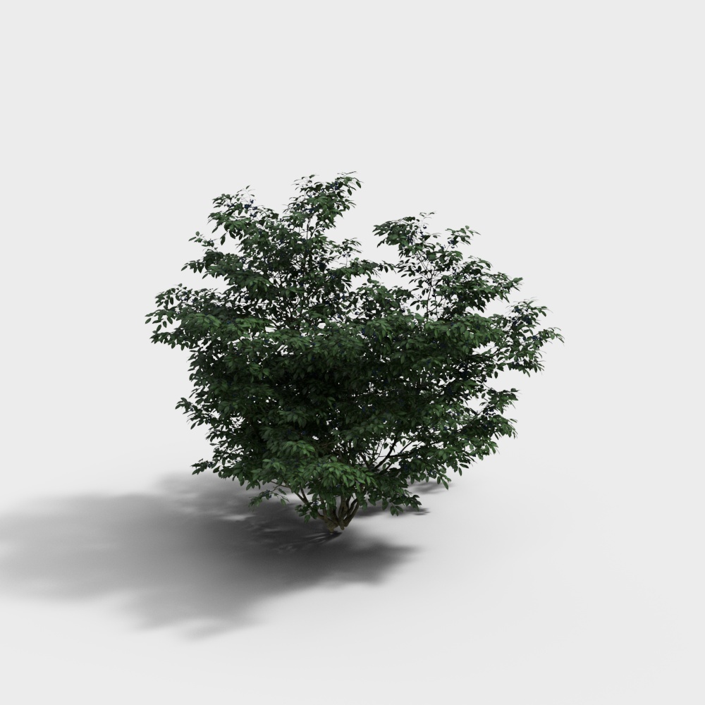 绿植001-XS