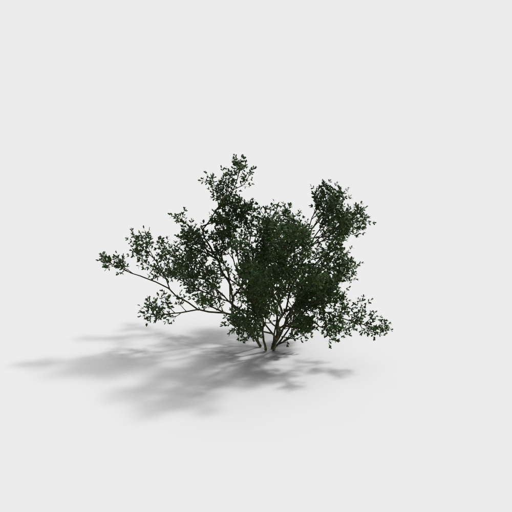 绿植002-XS3D模型
