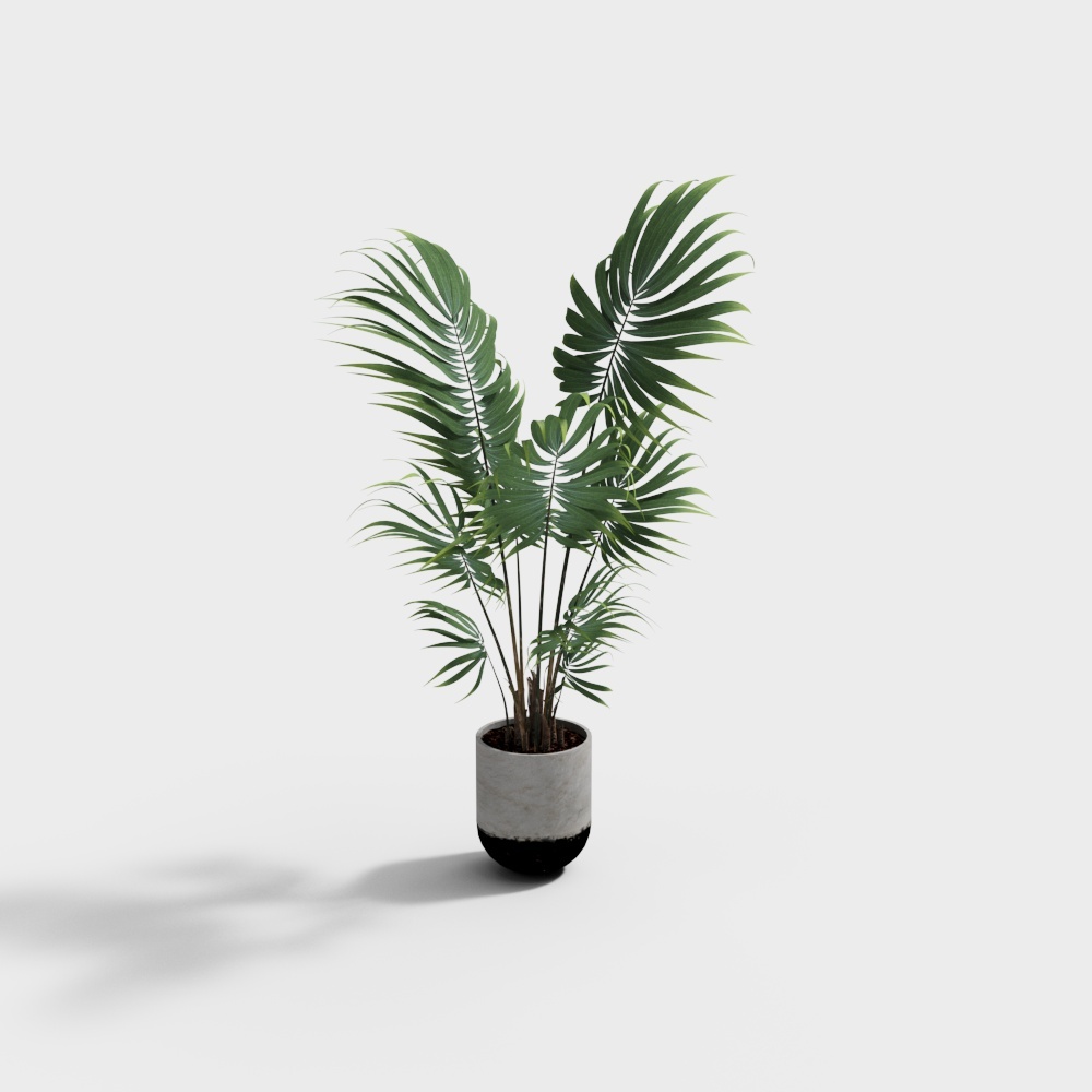 植物YR3D模型
