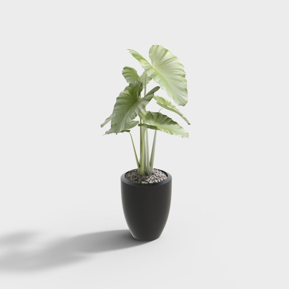 盆栽13D模型