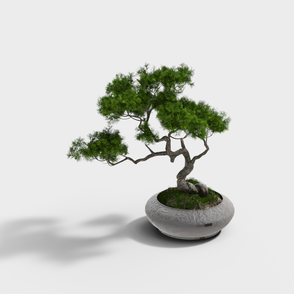 罗汉松3D模型