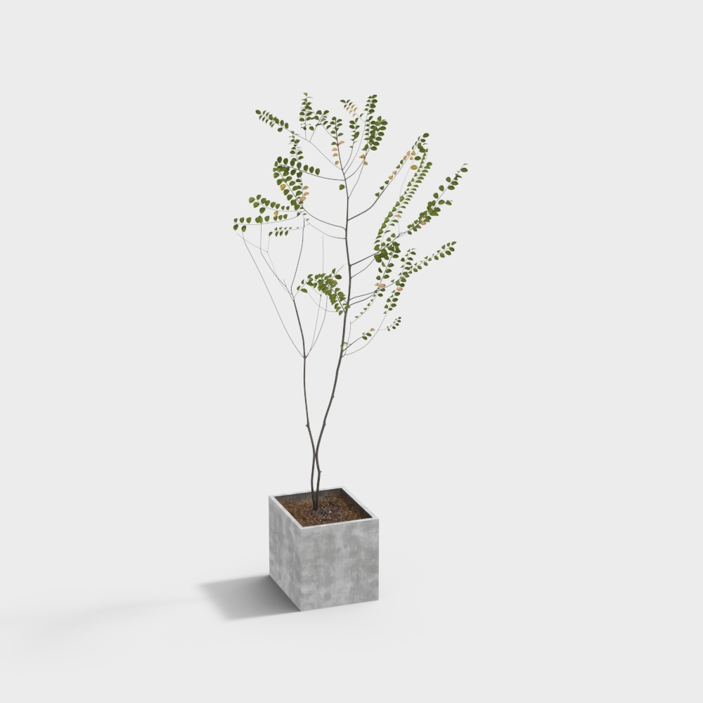 84 植物 PD3D模型