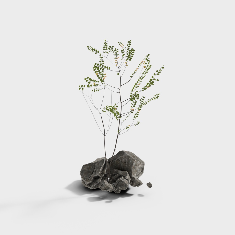 97植物-OB3D模型
