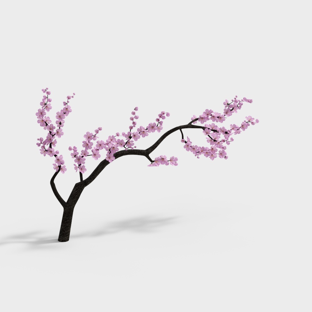 桃花支