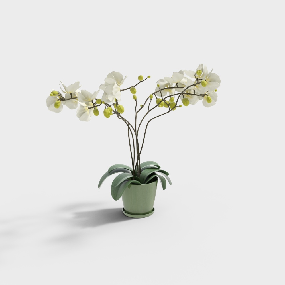 酷家乐-植物盆栽花卉合集189751-22