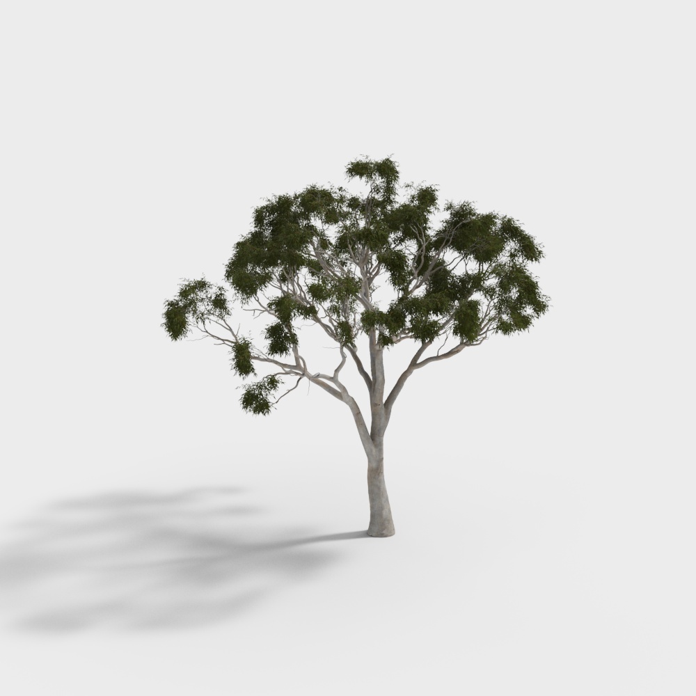 桉树103D模型