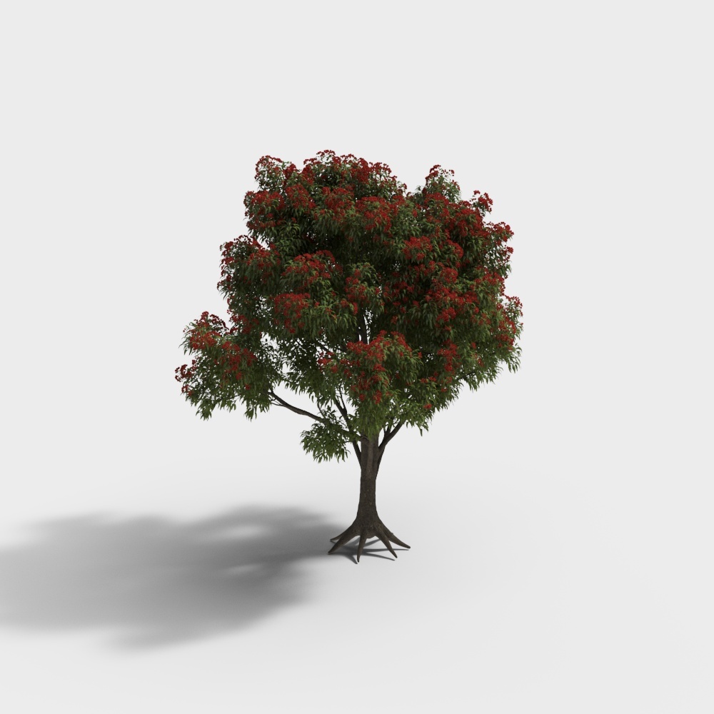 红花伞房桉13D模型