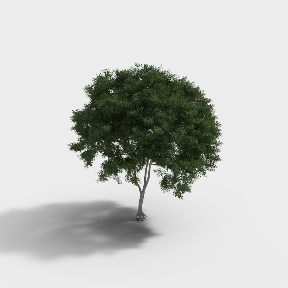 鸮蜜莓23D模型