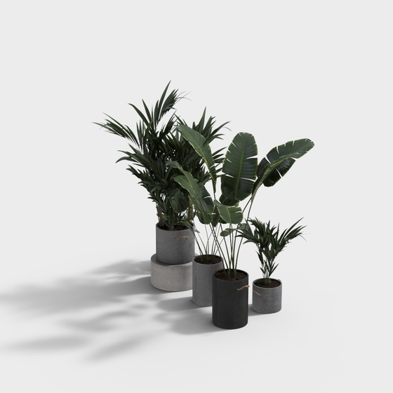 Modern green plant pot_Plant_Panana 3D model ID_364253841