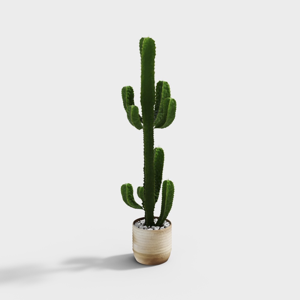 现代植物盆栽-仙人掌3D模型
