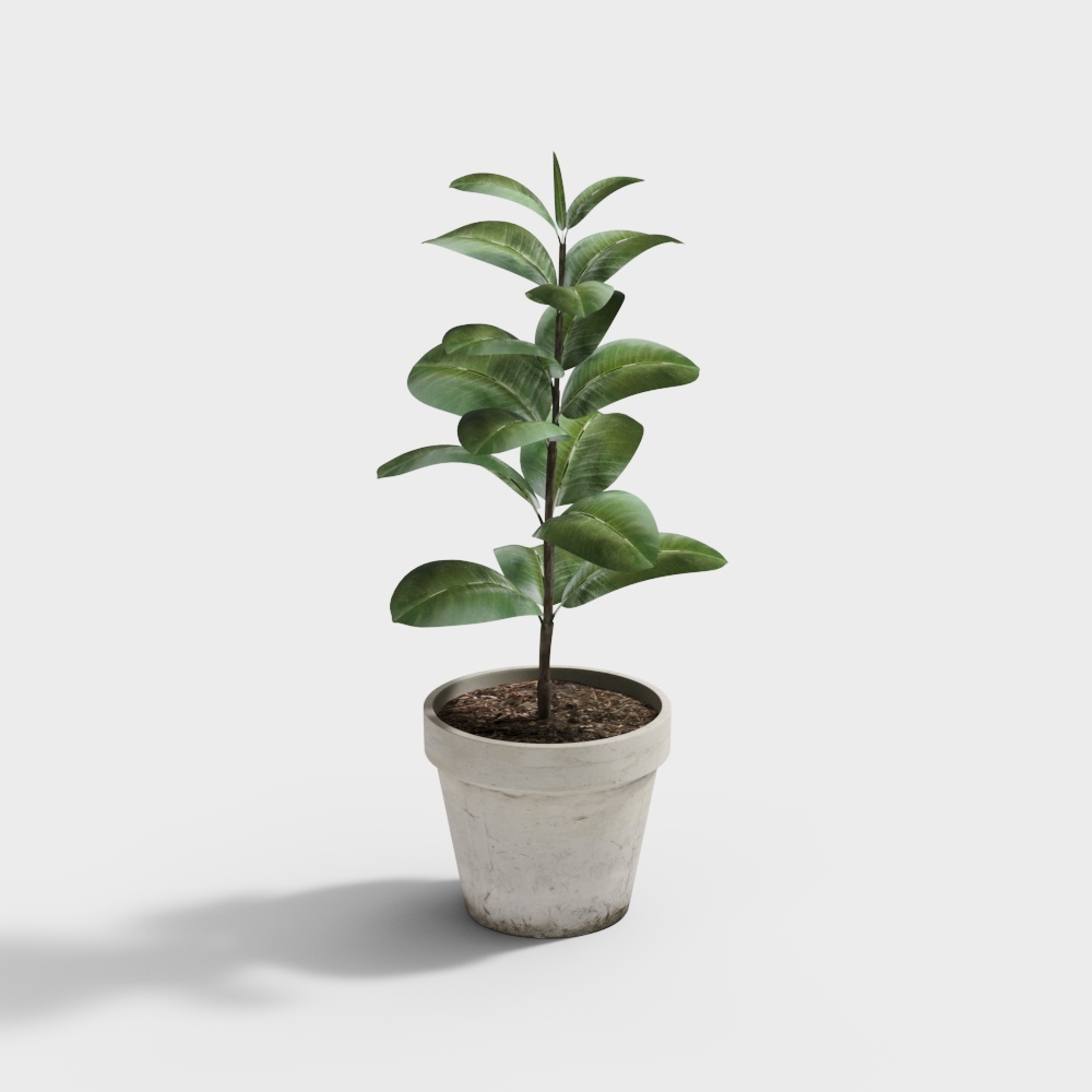 114植物-OB3D模型