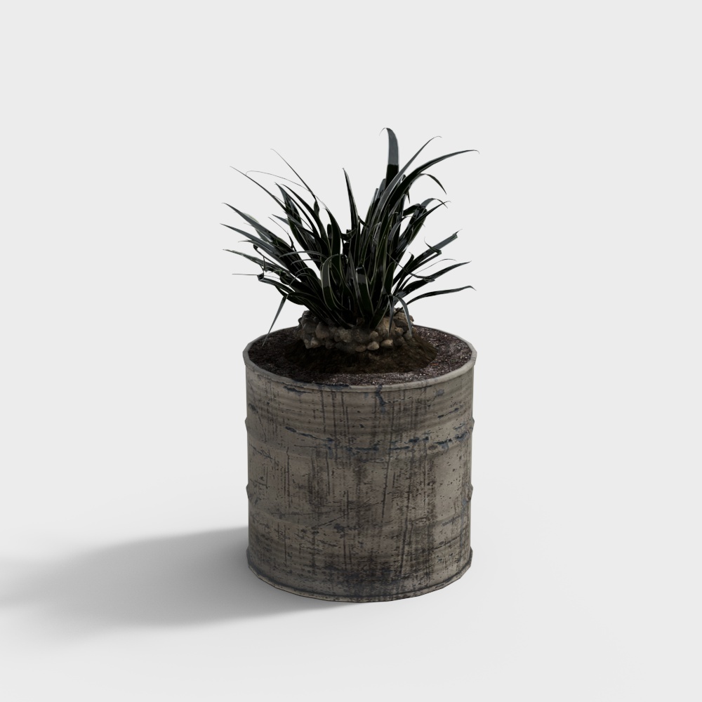 壁挂植物小3D模型