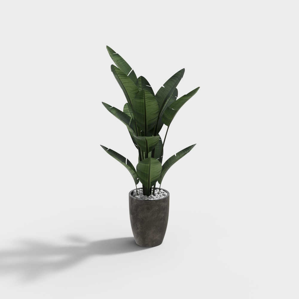 电脑桌植物3D模型