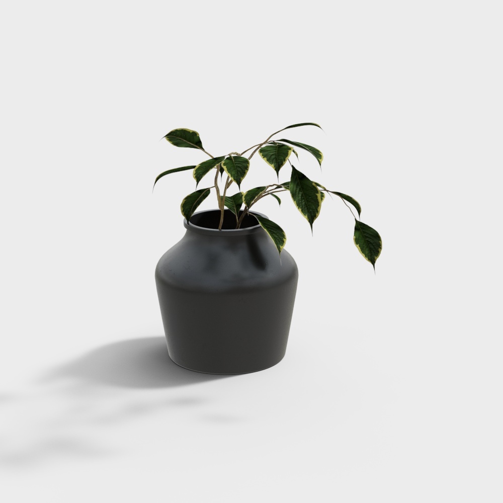 植物花瓶3D模型