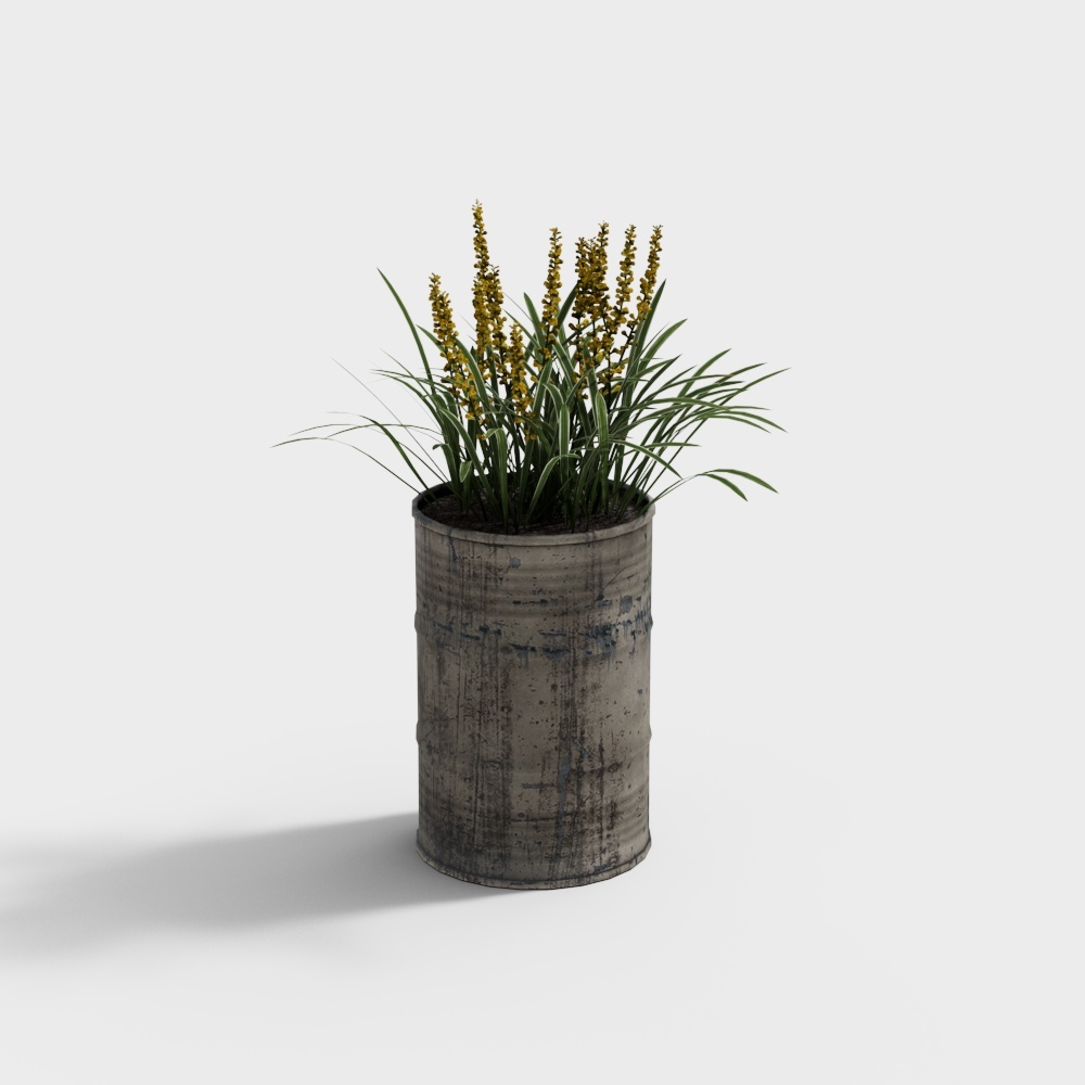壁挂植物3