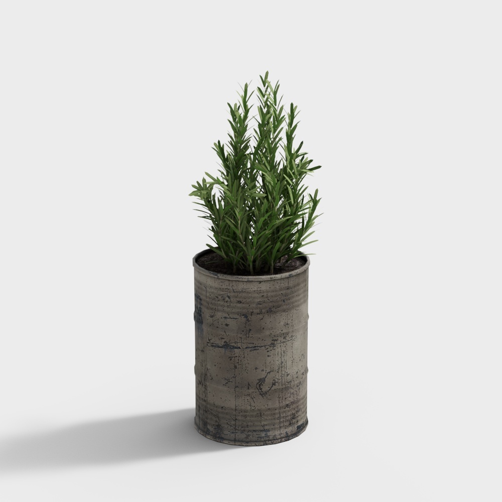 壁挂植物2
