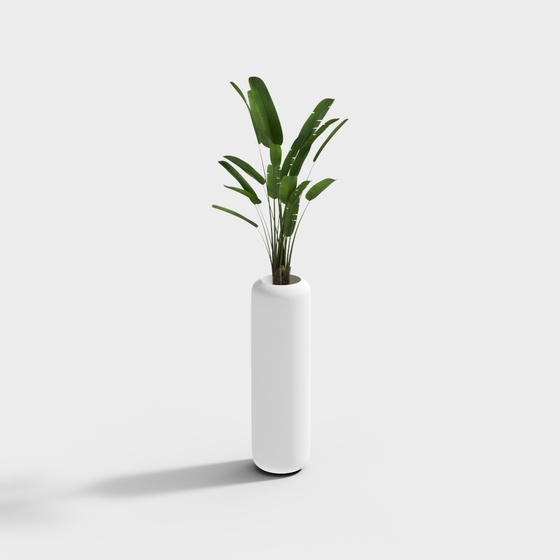 Fiberglass white long cylindrical flowerpot