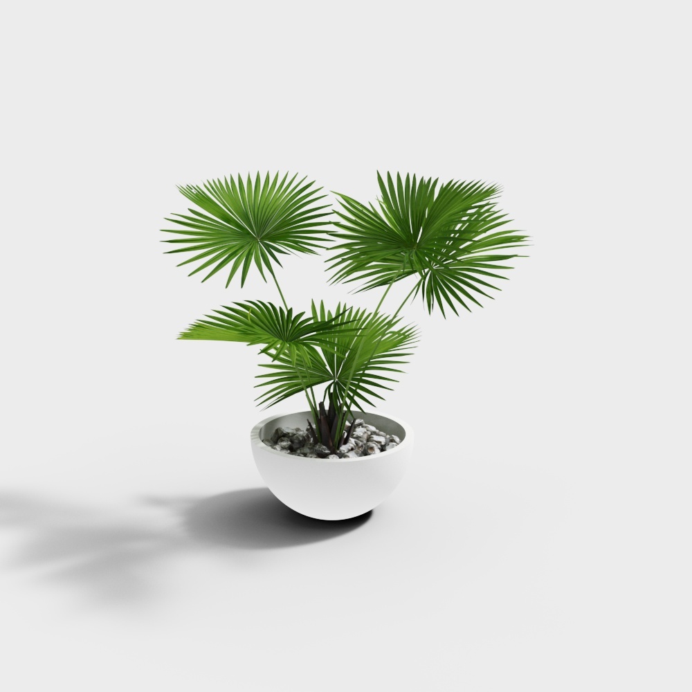 玻璃钢白色碗状花盆3D模型