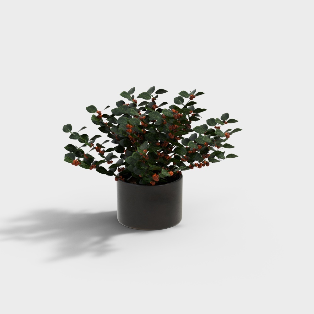 花瓶-1