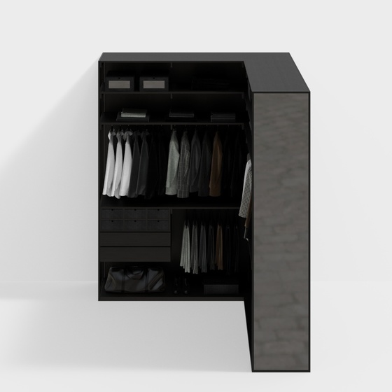 Modern Wardrobes,Black