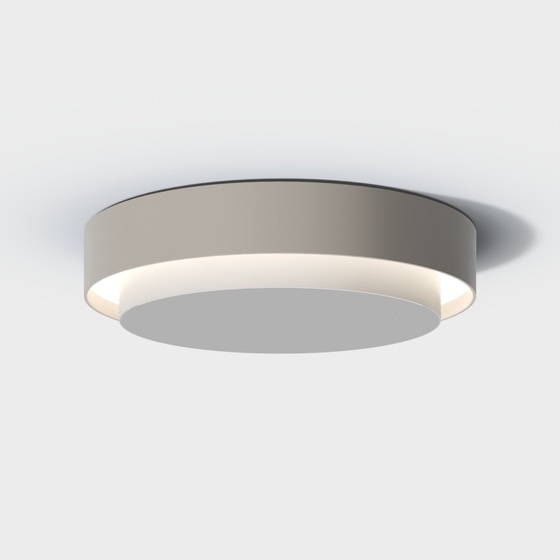 Modern simple ceiling lamp
