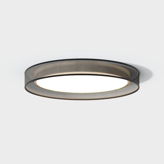 Modern simple ceiling lamp small circle