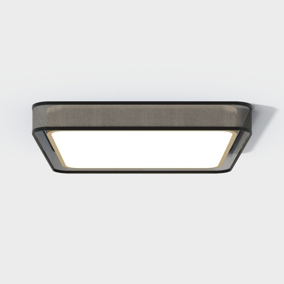Modern simple ceiling lamp square