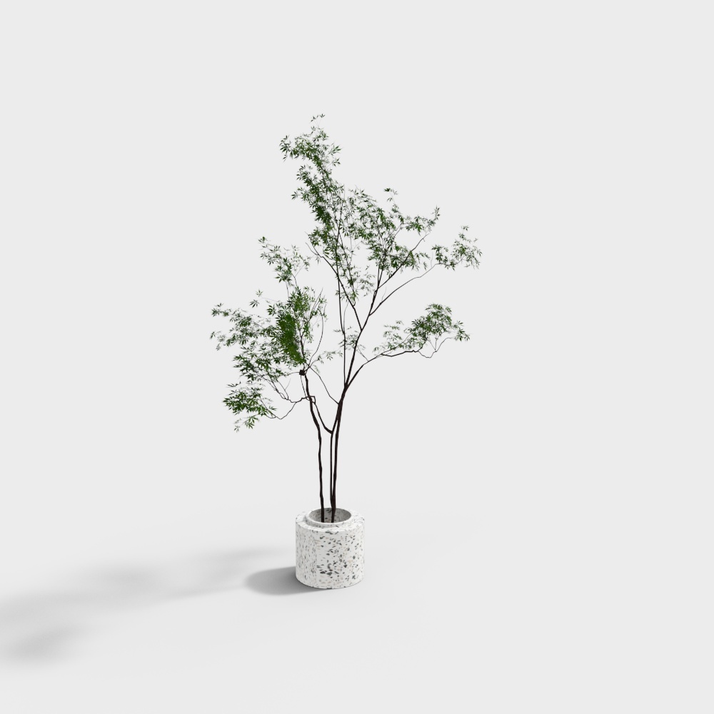 156摆件植物2-OB