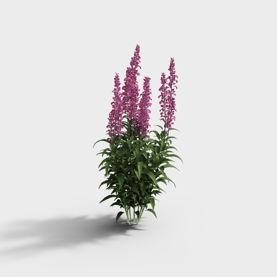 Shrub-Purple Flower 3-YJ