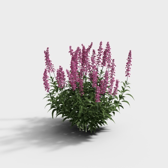 Shrub-Purple Flower 2-YJ