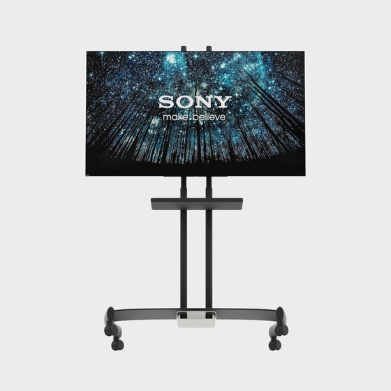 Modern Sony TV Stand