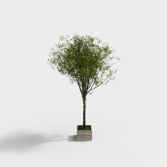 169 Green Tree 3D Model