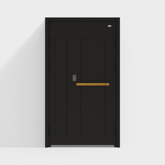 Entry door/security door