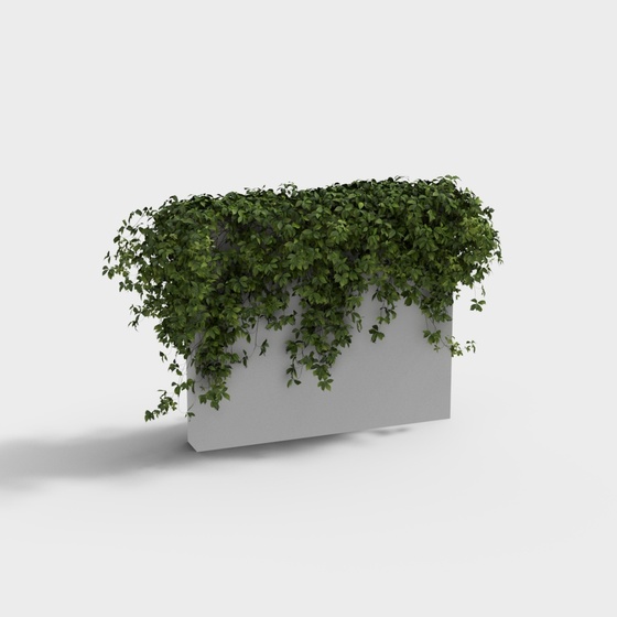 Climbing Vine Walls