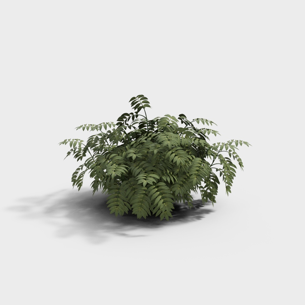 180 植物 PD