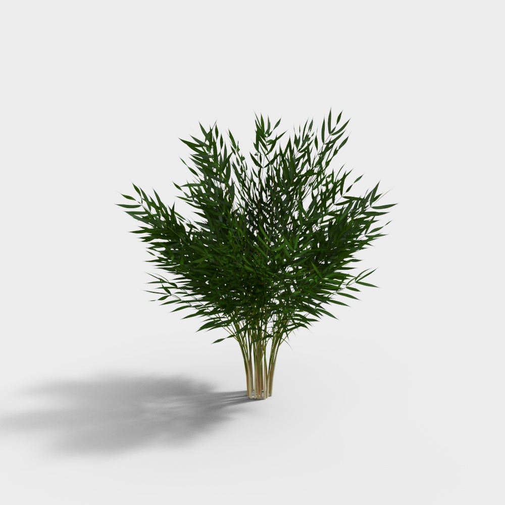 180 植物3 PD