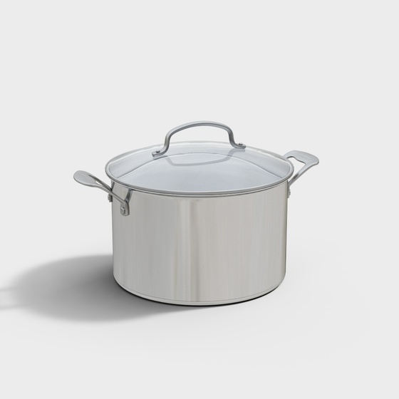 Modern stainless steel stock pot