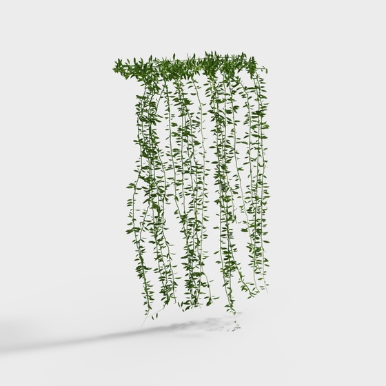 Green Vine Wall Plant 3D Model