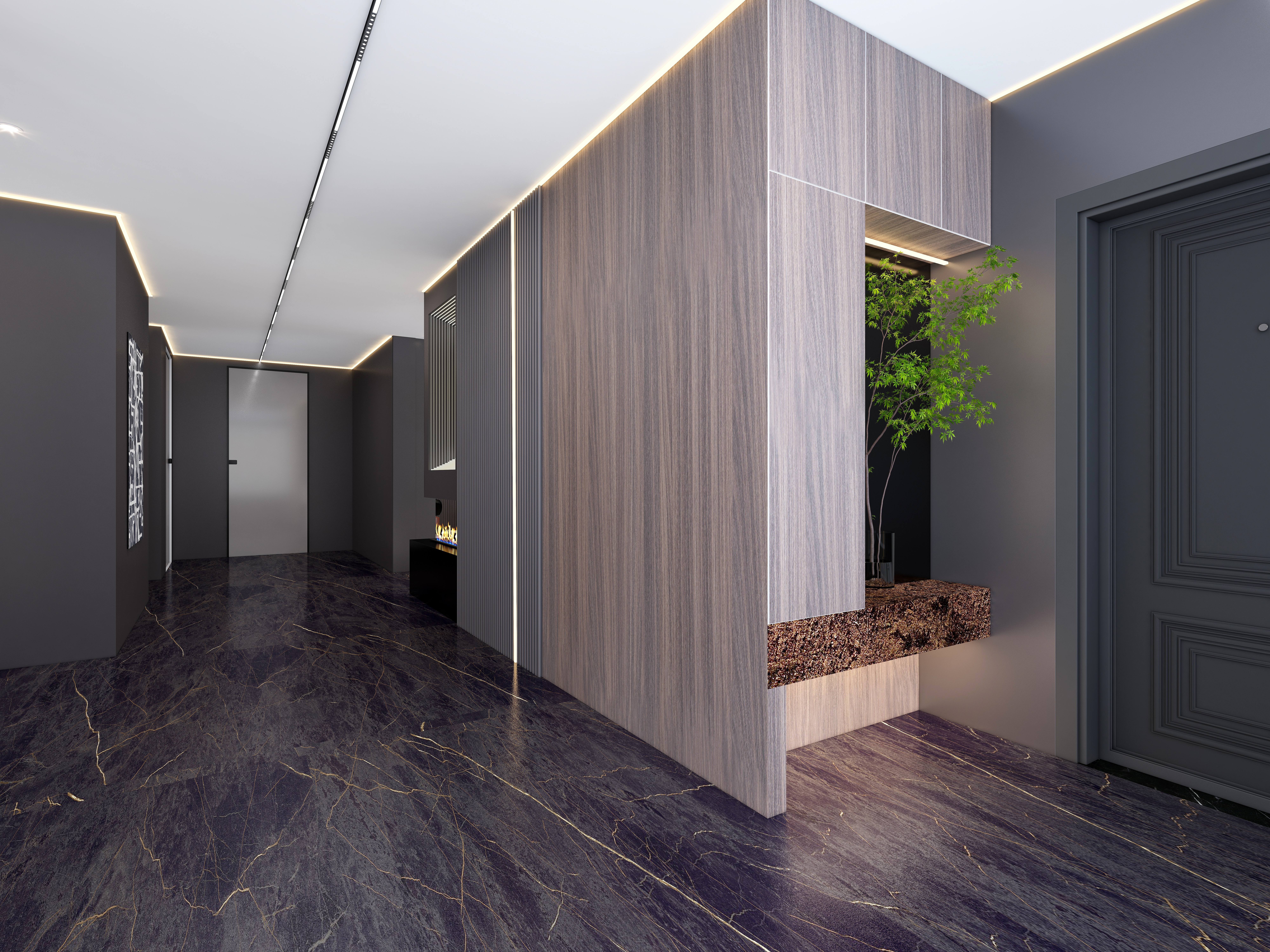 FAKAS-雅致黑白灰--【Euphoria】一层进门玄关装修效果图第1张