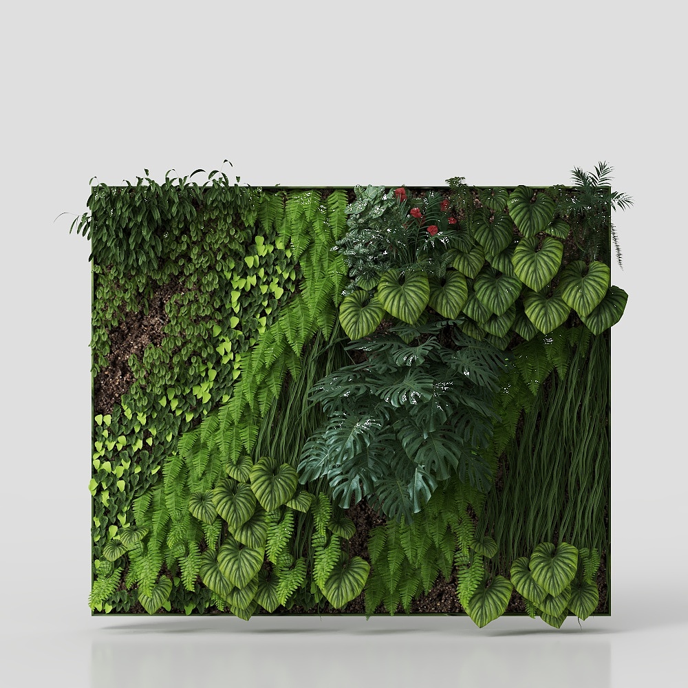 现代植物墙21-1