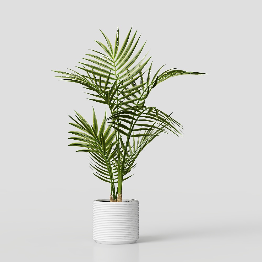 白色花盆绿植1.0-LY
