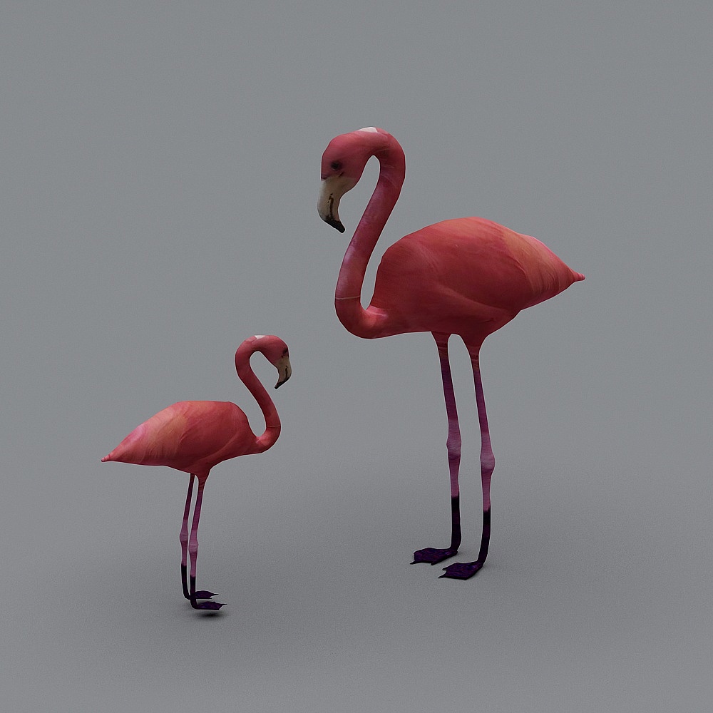 火烈鸟组合3D模型