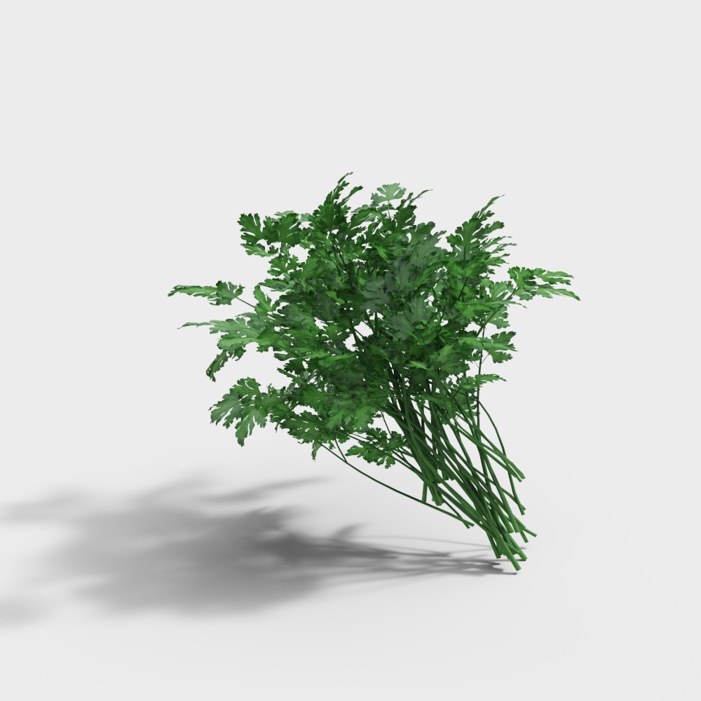 蔬菜-04