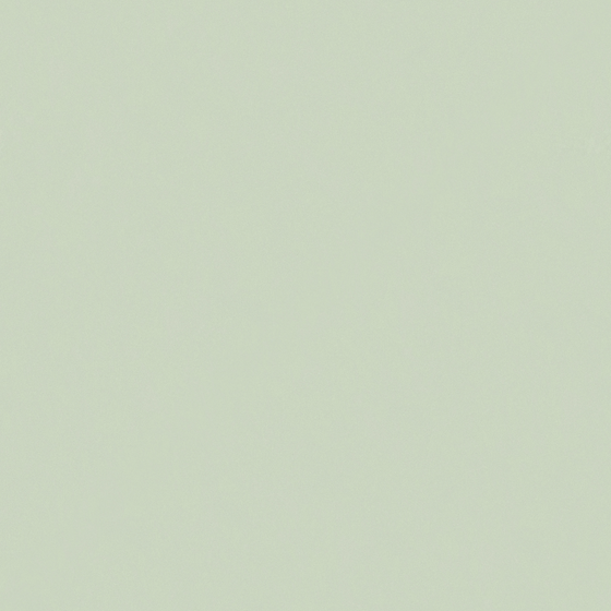 Crocodile-wall paint/paint