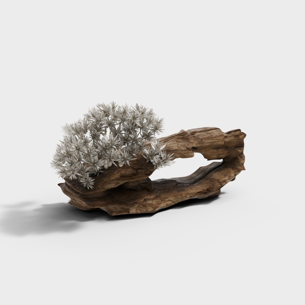 Plant_23D模型