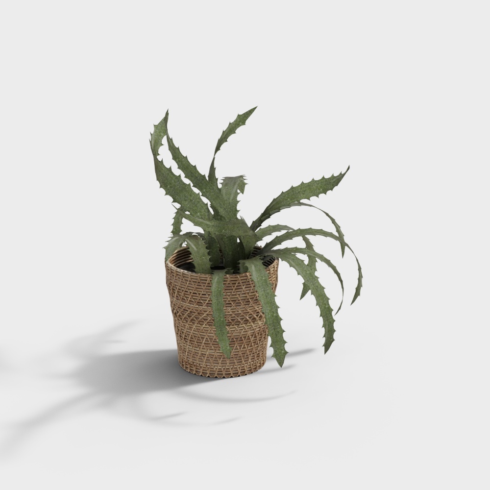 Plant  13D模型