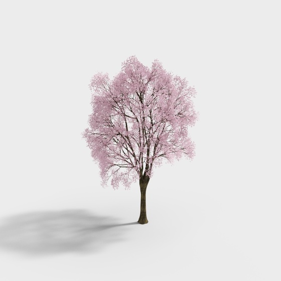 Simple style cherry blossom tree