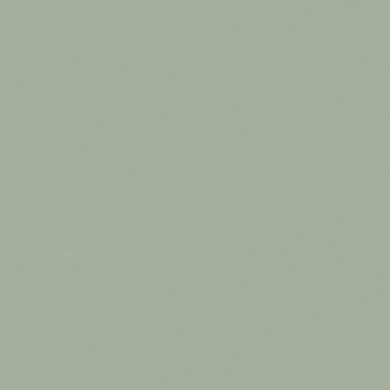 Gray Wall Paints/Coatings